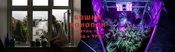 ешки Арсеньев