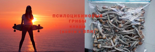 ГАЛЛЮЦИНОГЕННЫЕ ГРИБЫ Армянск
