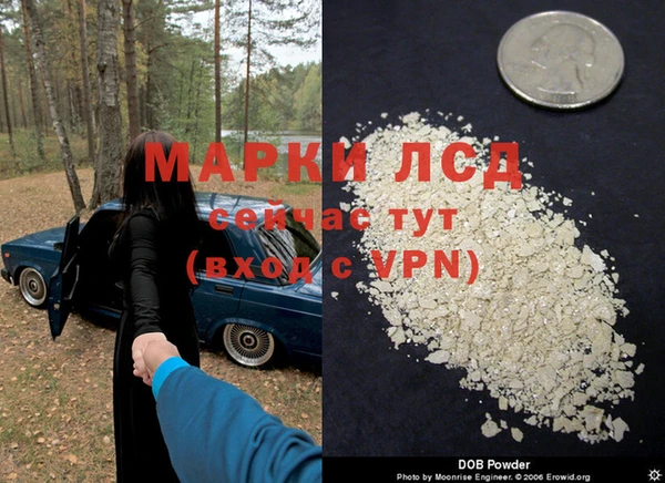 ГАЛЛЮЦИНОГЕННЫЕ ГРИБЫ Армянск