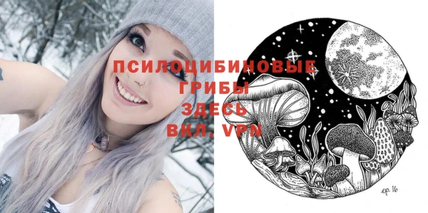 apvp Аркадак