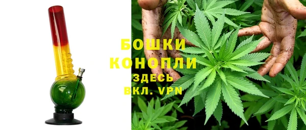 apvp Аркадак