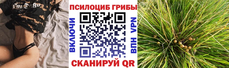 мориарти Telegram  Полысаево  Галлюциногенные грибы ЛСД 