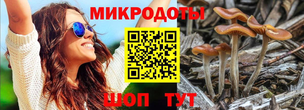 Галлюциногенные грибы GOLDEN TEACHER Полысаево