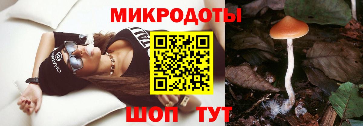 Псилоцибиновые грибы Cubensis  Псилоцибиновые грибы MAGIC MUSHROOMS  Полысаево  Вход с VPN 